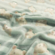 Manta Fleece 3D Ursinhos Teddy 100% Poliéster 1,60m largura - Fundo verde