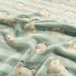 Manta Fleece 3D Ursinhos Teddy 100% Poliéster 1,60m largura - Fundo verde