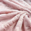 Manta Fleece Brilha no Escuro Princesa com Unicórnio 100% Poliéster 1,60m largura - Rosa