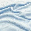 Manta Fleece Infantil Animais Zoo 100% Poliéster 1.60m Largura - Azul bebê Manta Fleece Infantil Animais Zoo 100% Poliéster 1.60m Largura - Azul bebê