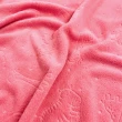 Manta Fleece Infantil Animais Zoo 100% Poliéster 1.60m Largura - Rosa chiclets