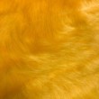 Pelúcia Prime - Pelo Alto - 100% Poliéster - Amarelo ouro