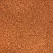 Pelúcia Manta Teddy Mini Sherpa Crespinha 100% Poliéster 1,50m Largura - Terracota