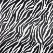Pelúcia Velboa Estampada - Zebra - 1,50m largura - Variante 1