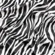 Pelúcia Velboa Estampada - Zebra - 1,50m largura - Variante 1