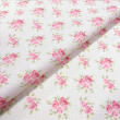 Tricoline Estampada Rosas Fundo Bege com Poazinho 100% Algodão 1,50m largura - Variante 1